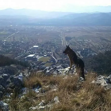 Zdravko Eco Village *