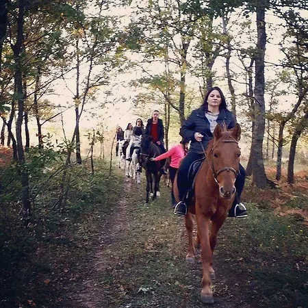 Zdravko Eco Village *
