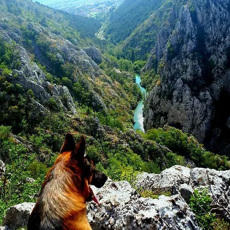 Zdravko Eco Village Apartman *